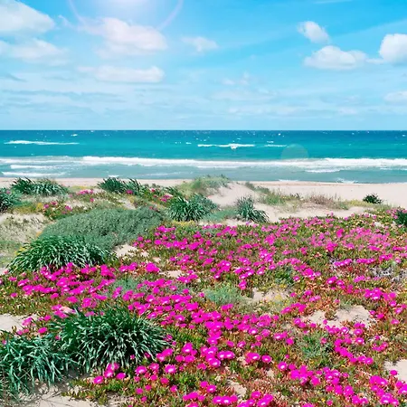 Marina Manna And Club Village 3*