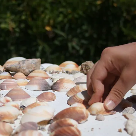 호텔 Marina Manna And Club Village